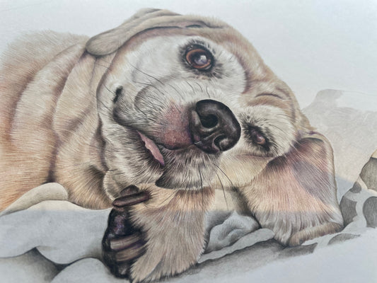 Realism- Is it really creative or is it just copying?