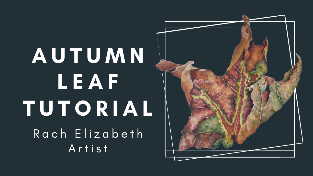 Load video: As well as wildlife and pet portrait art, you can check out my YouTube channel where I have a range of videos from tutorials to life as an artist!