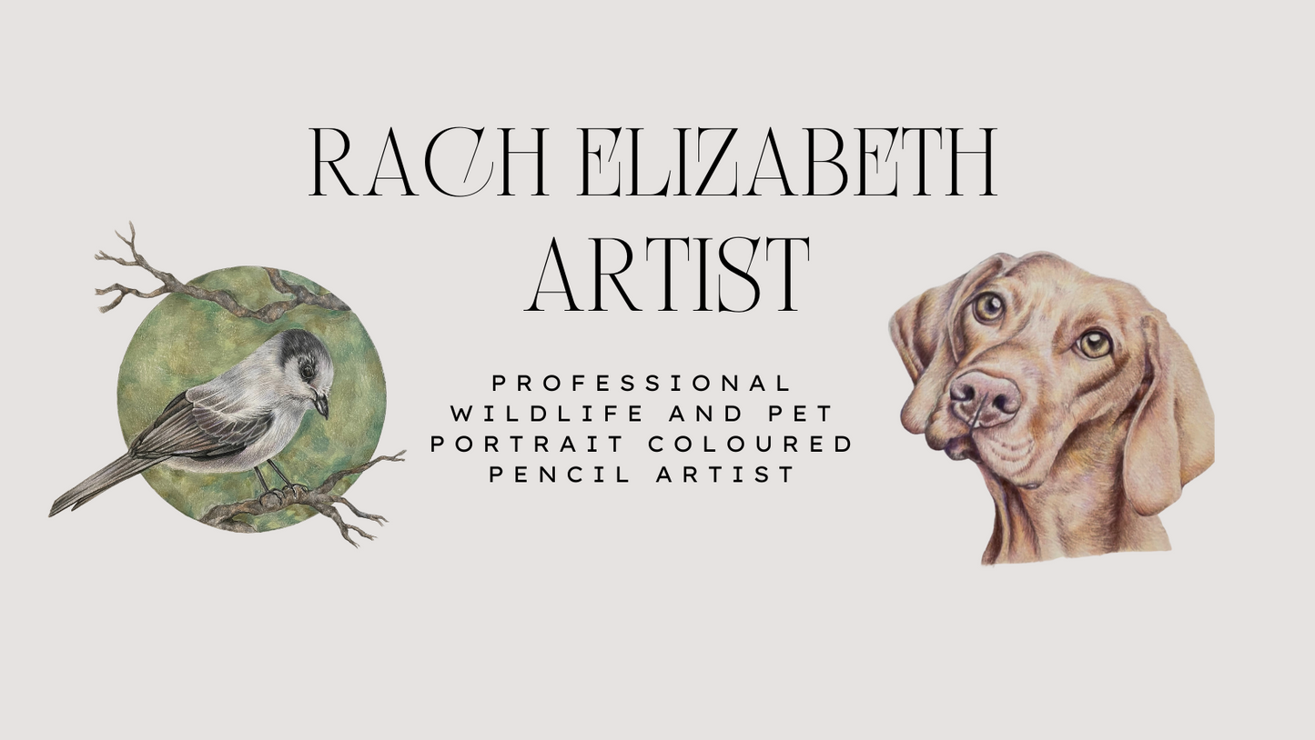 Rach Elizabeth Artist Giftcard